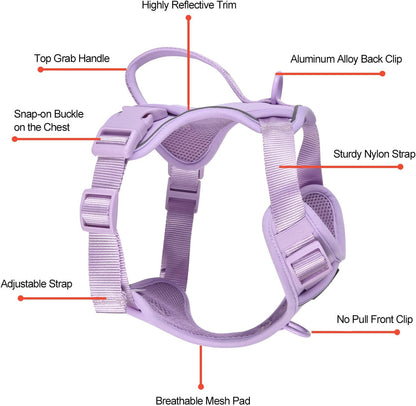 Petmolico Dog Harness for Small Dogs, Cute Harness Vest with Two Leash Clips and Soft Handle, Reflective Easy Walk Puppy Vest - Light Purple, X-Small
