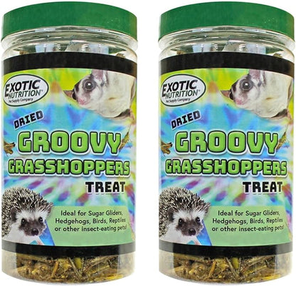 Groovy Grasshoppers (2 PACK)- All Natural Healthy High Protein Insect Treat - Chickens, Birds, Hedgehogs, Bluebirds, Reptiles, Sugar Gliders, Opossums, Skunks, Lizards, Turtles, Amphibians (2.8 oz.)