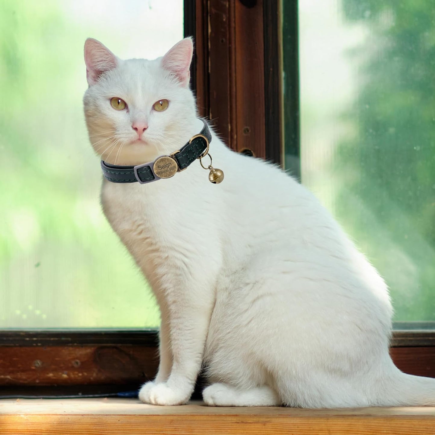 Cat Collar Breakaway, Personalized Leather Cat Collar with Bells-Adjustable Customized Collar with Name & Phone Number Tag for Girl Boy Cats -Quick Release Buckle for Cats & Kittens(Green)