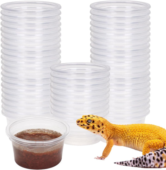 AIICIOO Gecko Feeder Ledge Cup 1oz Plastic Bowls 50 Pack Reptile Food Feeder Water Dish Ledge Accessories Bowls for Crested Gecko Lizards Chameleon Spiders Snake Frogs