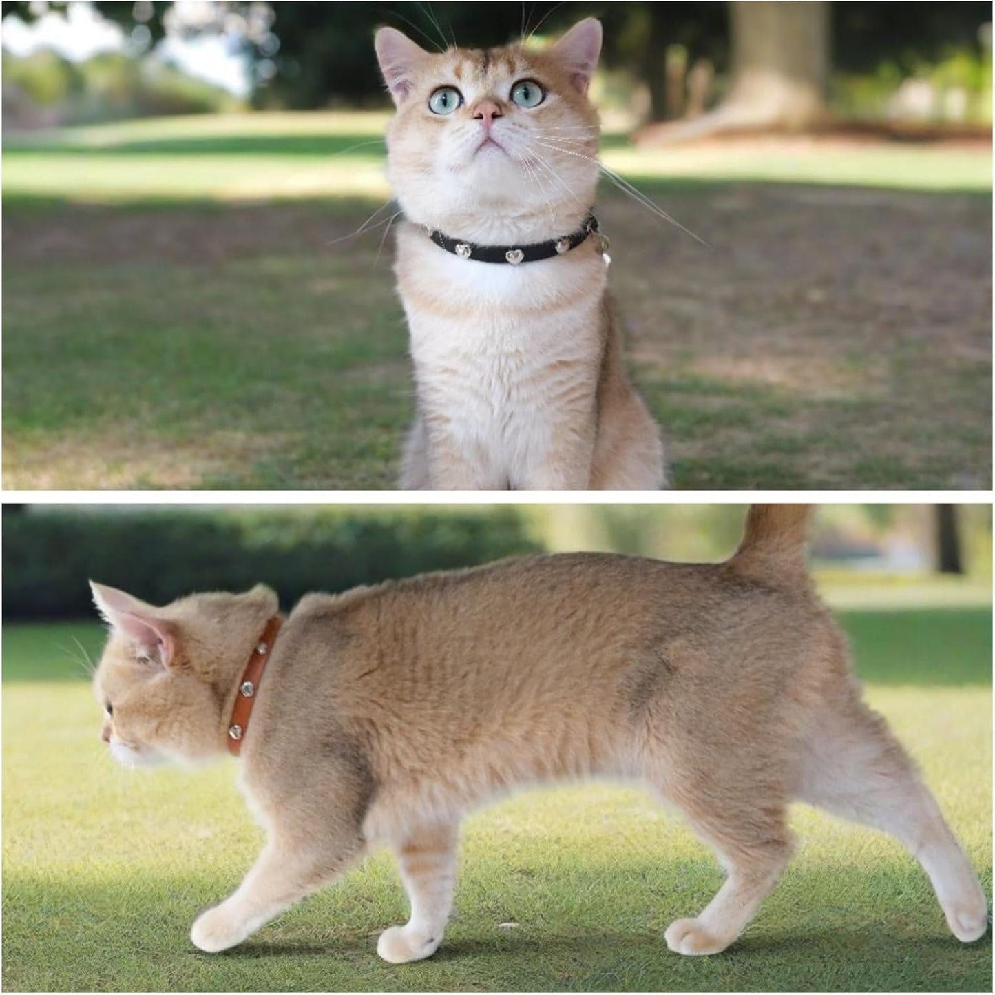 Spiked Cat Collar with Bells, Breakaway Genuine Leather Protective Collar for Kitty, Studs Spikes Punk Style, Heart Pattern, Adjustable for Girl Boy Kittens Small Bunny Rabbit, 8"-9.5" Black