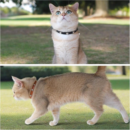 Spiked Cat Collar with Bells, Breakaway Genuine Leather Protective Collar for Kitty, Studs Spikes Punk Style, Heart Pattern, Adjustable for Girl Boy Kittens Small Bunny Rabbit, 8"-9.5" Black