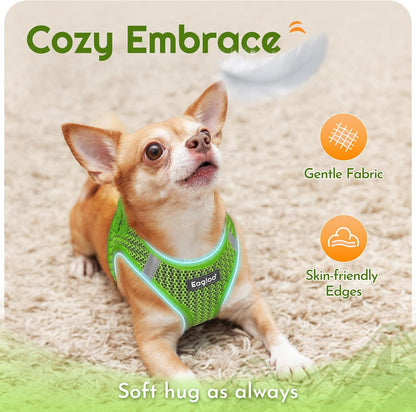Eagloo Small Dog Harness and Leash Set, Step in Puppy Vest with Breathable Soft Mesh, Walking Reflective Pet Harness for Medium Small Dogs, Green, L