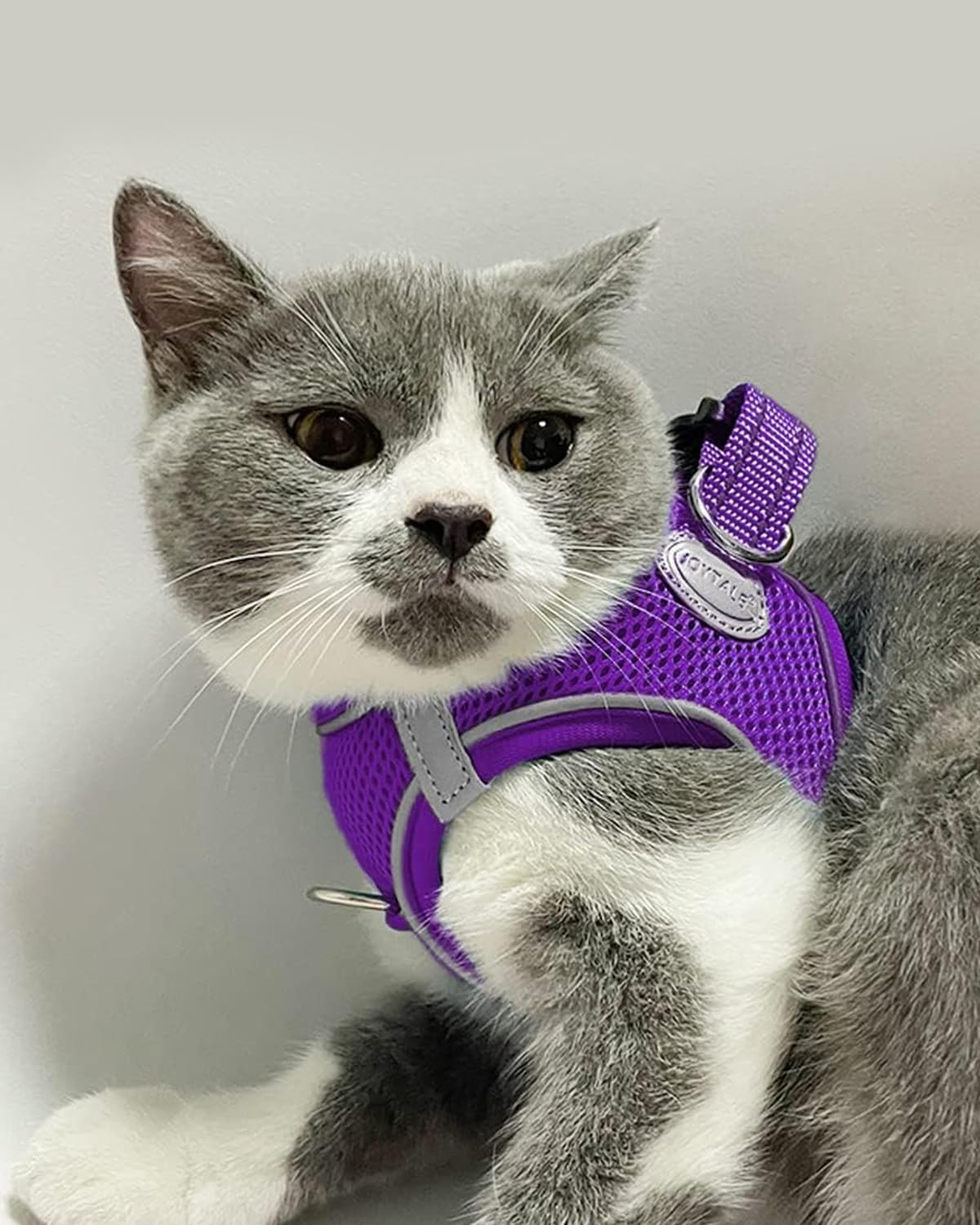 Joytale Small Dog Harness, Breathable Mesh Step-in Vest, Reflective Soft Padded Harnesses for Cats and Puppies Dogs, Purple, XXXS