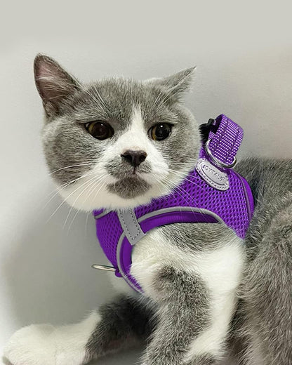 Joytale Small Dog Harness, Breathable Mesh Step-in Vest, Reflective Soft Padded Harnesses for Cats and Puppies Dogs, Purple, XXXS