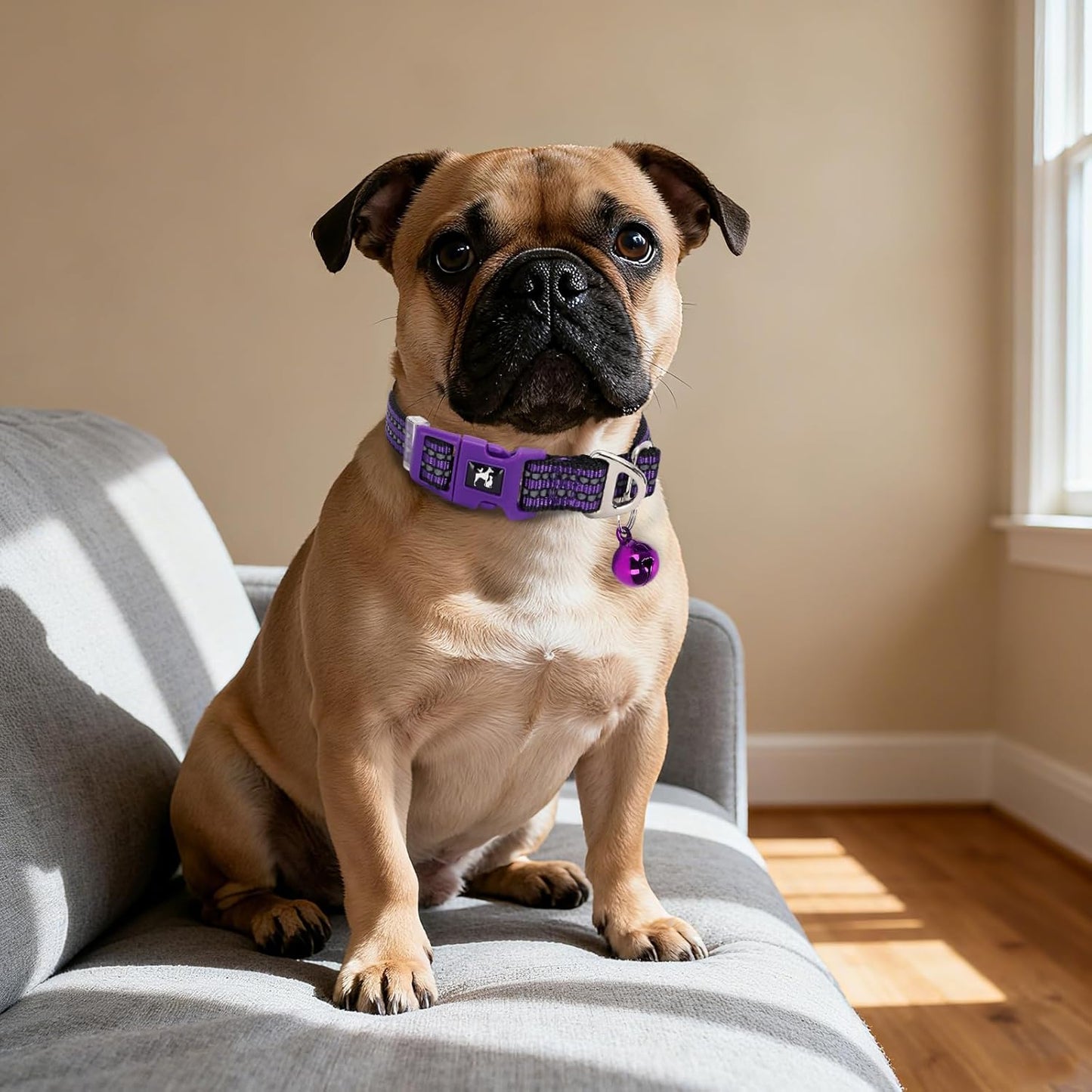 Small Dog Collar with Bell - Cute Reflective Puppy Collar Gift for Girl, Adjustable Nylon Collar for Chihuahua Pomeranian Nighttime Safety (Purple S)