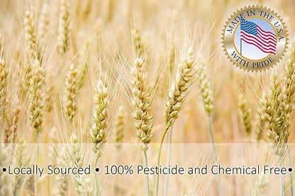 Wheat Bran Bedding & Gutload for Mealworms, Superworms, and Feeder Insects – 4 lb (64 oz) by Five-Star Feeders