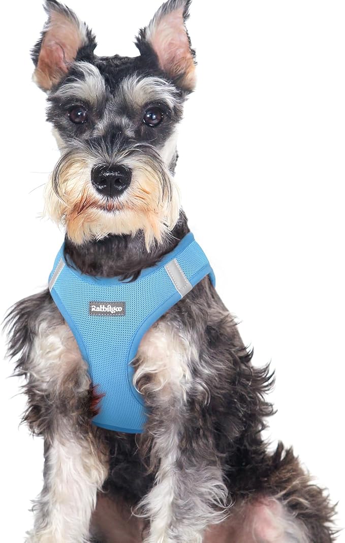 rabbitgoo Small Dog Harness, Step-in Soft Mesh Puppy Vest with Safety Buckle, Breathable Reflective Pet Harness for Large Dogs, Blue XXL