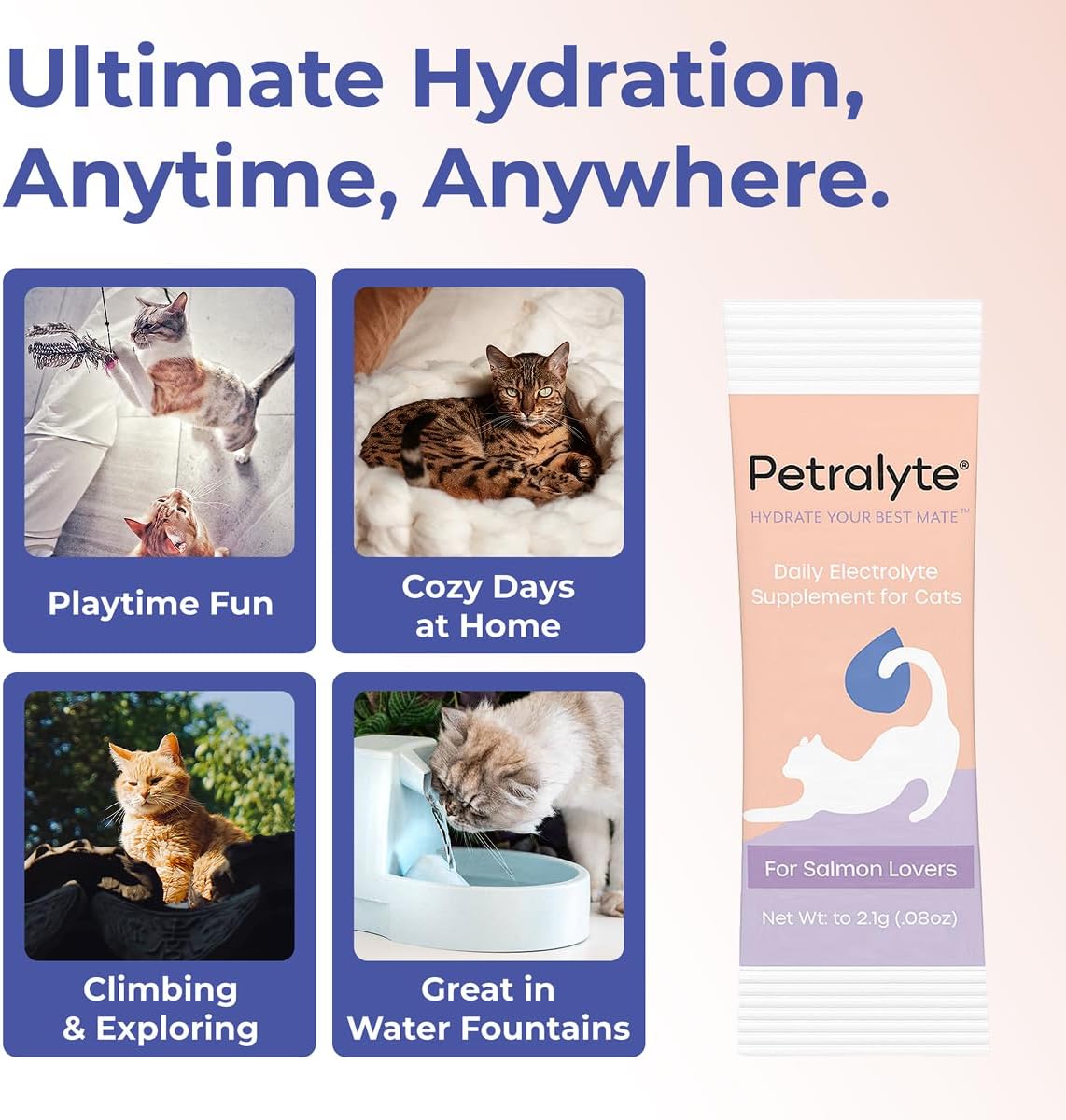Petralyte Cat Hydration Electrolyte and Cat Joint Supplement | Hydration Support for Cats w/Glucosamine, Chondroitin, L-Glutamine, Taurine, Lysine & Prebiotics | for Salmon Lovers | 32 Packets