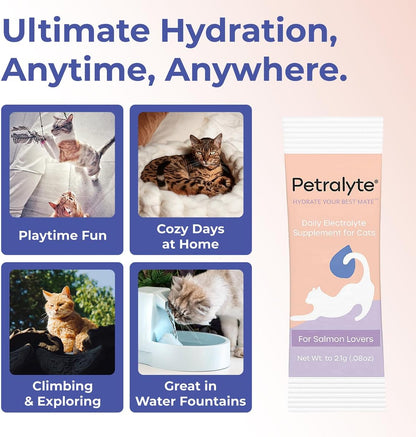 Petralyte Cat Hydration Electrolyte and Cat Joint Supplement | Hydration Support for Cats w/Glucosamine, Chondroitin, L-Glutamine, Taurine, Lysine & Prebiotics | for Salmon Lovers | 32 Packets