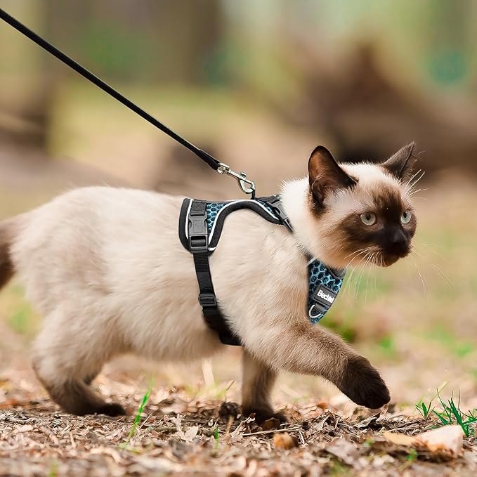 Cat Harness and Leash for Walking Escape Proof Soft Adjustable Cat Leash Breathable Honeycomb Structure Comfortable Vest Easy to Wear Kitten Harness for Outdoor Travel, Honeycomb Blue, M