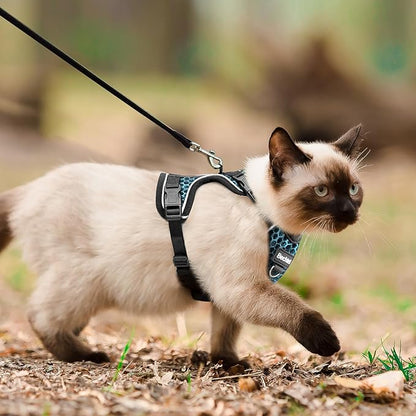Cat Harness and Leash for Walking Escape Proof Soft Adjustable Cat Leash Breathable Honeycomb Structure Comfortable Vest Easy to Wear Kitten Harness for Outdoor Travel, Honeycomb Blue, S