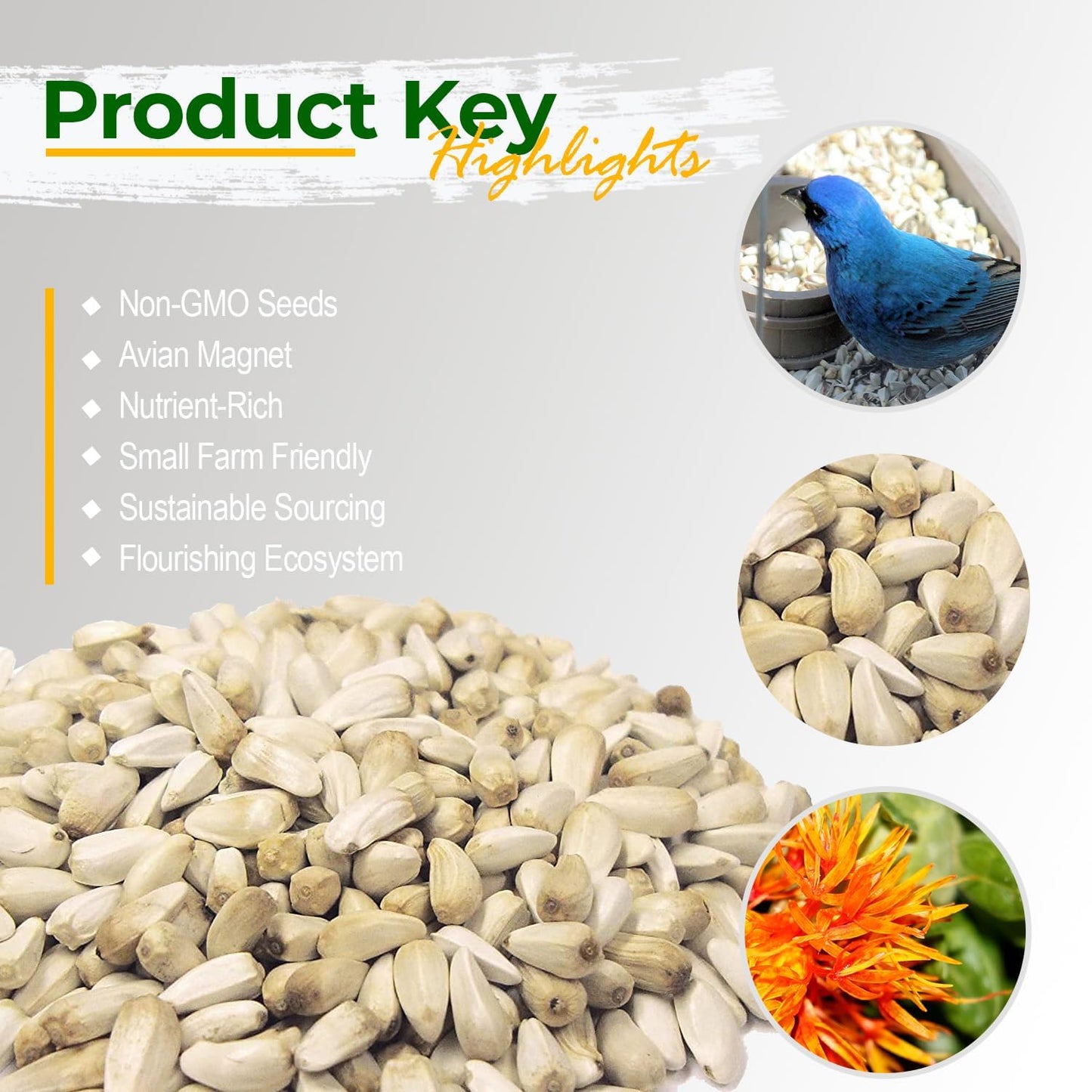 Old Potters Wildlife Safflower Seed for Wildlife Bird Feeding, Non-GMO and USA Small Farm Grown, 25 lbs