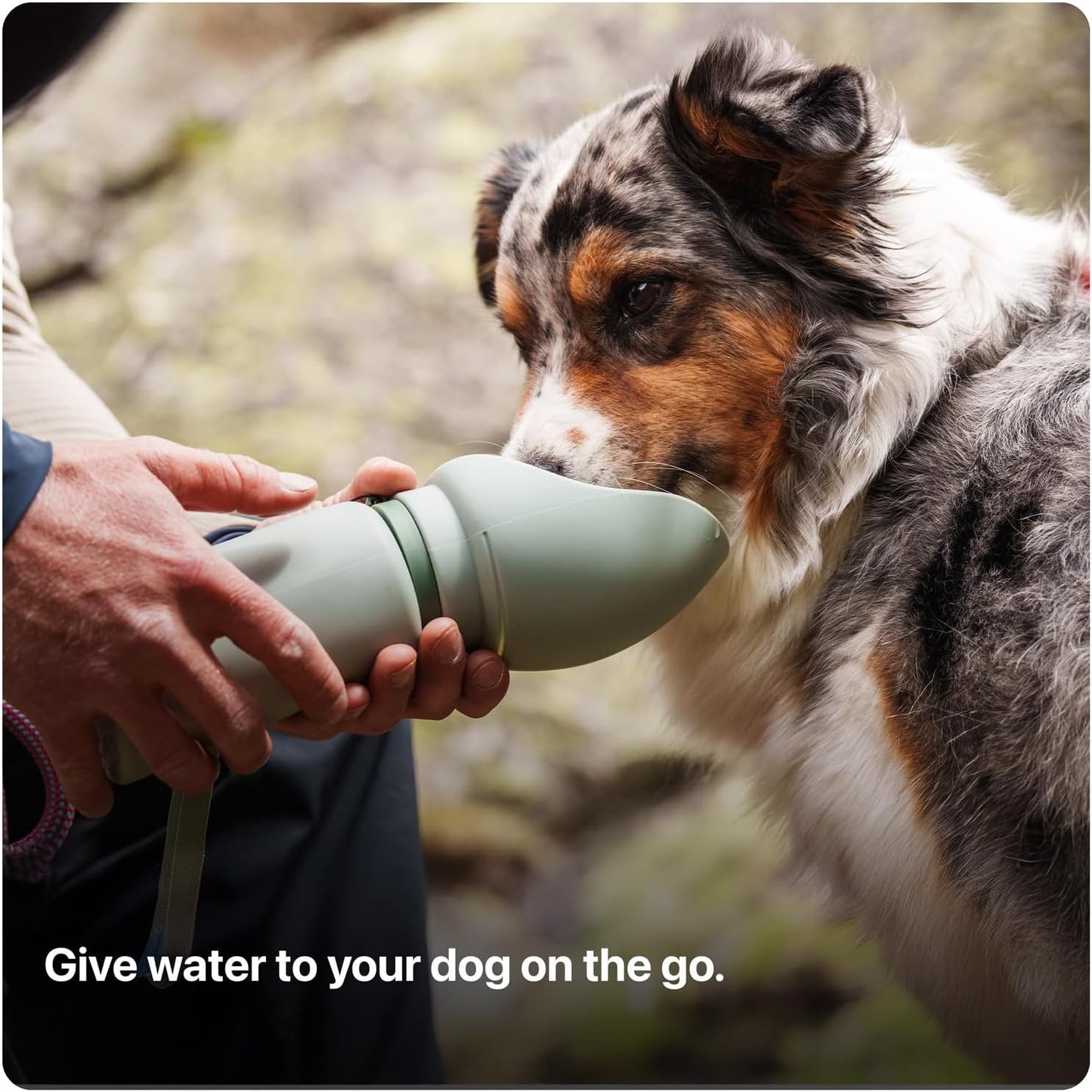 SÄKER Portable Dog Water Bottle, Collapsible Water Bottle for Dogs Perfect for Walking, Hiking and Outdoors | Works as a Portable Water Bowl | Designed in Montreal - 550ml