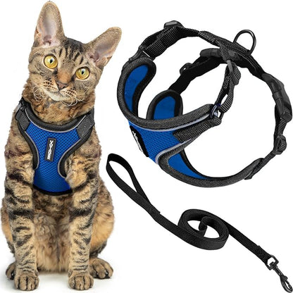 Voyager Escape Proof Cat Harness and Leash Set with Reflective Stitching, Neoprene Handle 5ft - Supports Small, Medium and Large Cats, Kittens for Walking by Best Pet Supplies - BT-Royal Blue, S