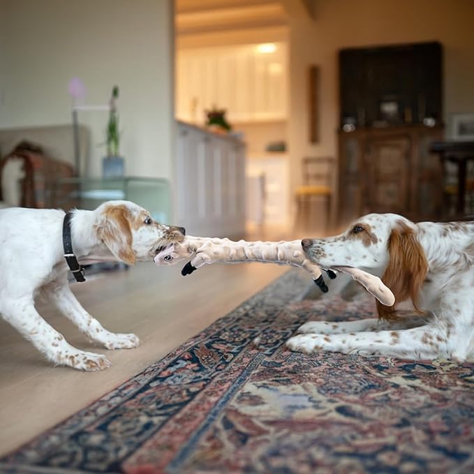 SHARLOVY Dog Squeaky Toys 5 Pack, Bubble Plush Puppy Teething Pet Toys, Crinkle No Stuffing Animals Dog Toy, Doggies Chew for Large Small Medium Breeds
