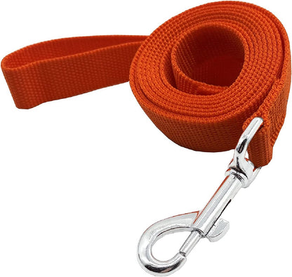 Nylon Dog Training Leash, Traction Rope, 4/5/6 Feet Long, 3/4 Inch 1 Inch Wide, for Small and Medium Dogs (1'' x 5 FT, Orange)