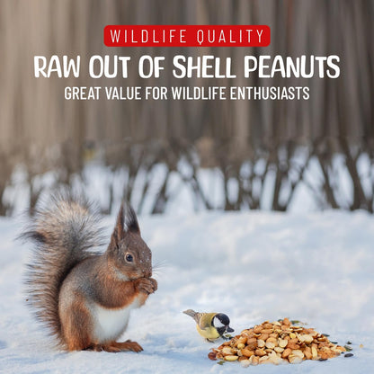 Premium Quality Raw Out of Shell Peanuts - 2 Pounds - Shelled Peanuts for Birds – Wildlife Quality - Food for Squirrels, Deer, Birds, and Other Wildlife Animals – Grown in The USA