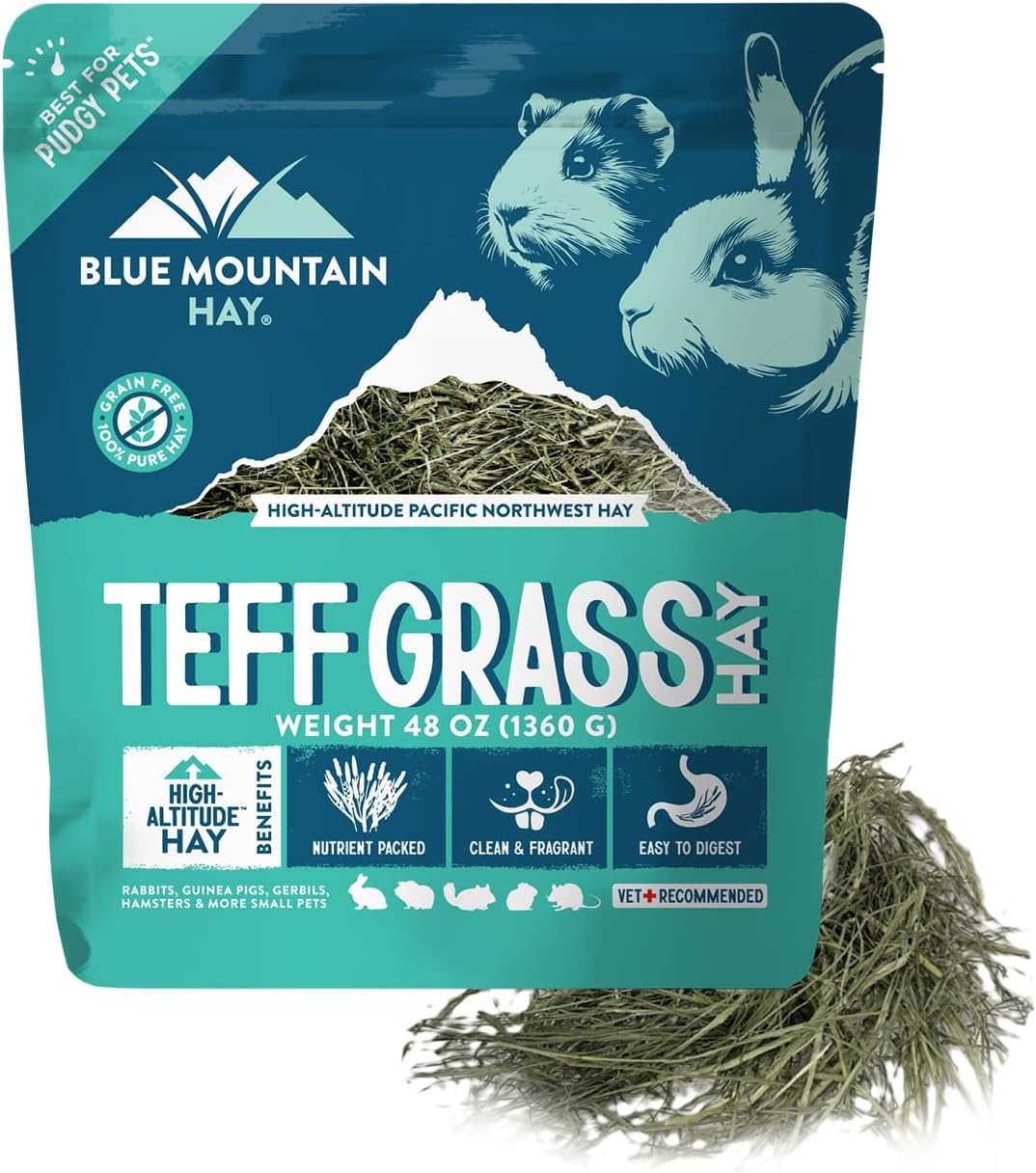 Blue Mountain Hay | Fresh Teff Grass Hay (48 Ounce) | Low NSC, High Fiber, Healthy Weight Management | High-Altitude Hay Pet Food for Rabbits, Guinea Pigs, Chinchillas, Hamsters, and Other Small Pets