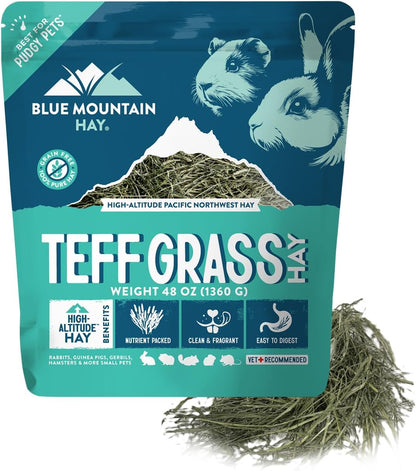 Blue Mountain Hay | Fresh Teff Grass Hay (48 Ounce) | Low NSC, High Fiber, Healthy Weight Management | High-Altitude Hay Pet Food for Rabbits, Guinea Pigs, Chinchillas, Hamsters, and Other Small Pets