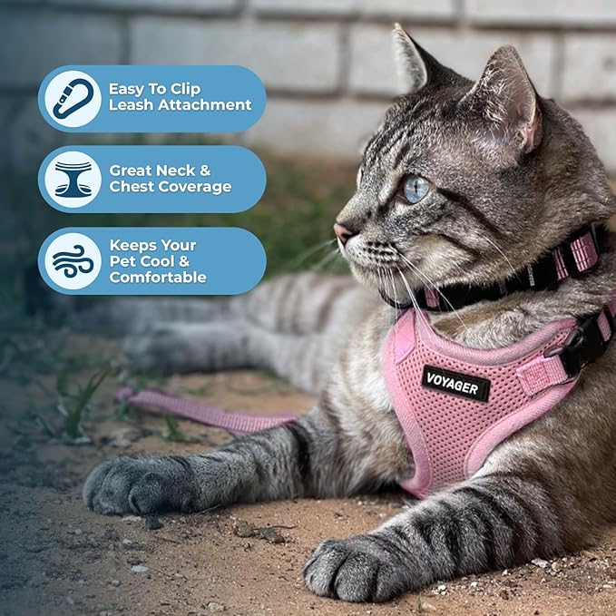 Voyager Step-in Lock Pet Harness - All Weather Mesh, Adjustable Step in Harness for Cats by Best Pet Supplies - Pink, XXS