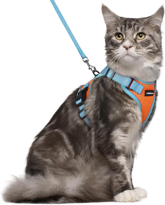rabbitgoo Cat Harness and Leash Set, Escape Proof Soft Adjustable Vest Harnesses for Outdoor Walking, Easy Control Breathable Kitten Jacket with Reflective Strips, Orange & Light Blue, M