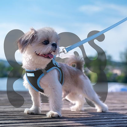 rabbitgoo Dog Harness Small Sized and Leash Set, Step-in Breathable Pet Harness, Soft Walking Reflective Puppy Vest for Small Dogs, Black & Light Blue, S
