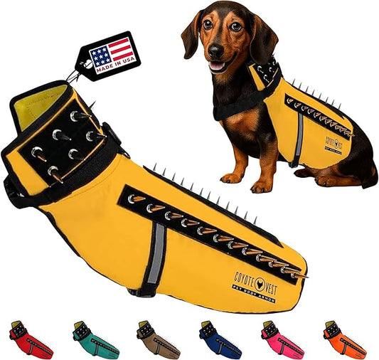 CoyoteVest Dog Harness Protection Vest, Reflective Dog Accessories with Spikes to Shield Your Pet from Raptor and Animal Attacks, Proudly Made in America (Medium, Yellow)