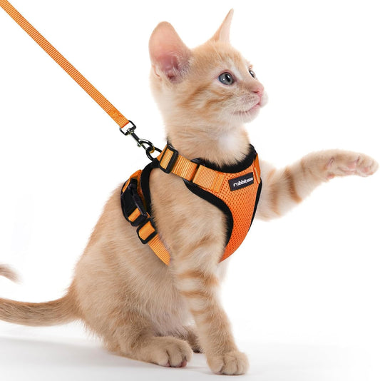 rabbitgoo Cat Harness and Leash for Walking, Escape Proof Soft Adjustable Vest Harnesses for Cats, Easy Control Breathable Reflective Strips Jacket, Orange, XXS