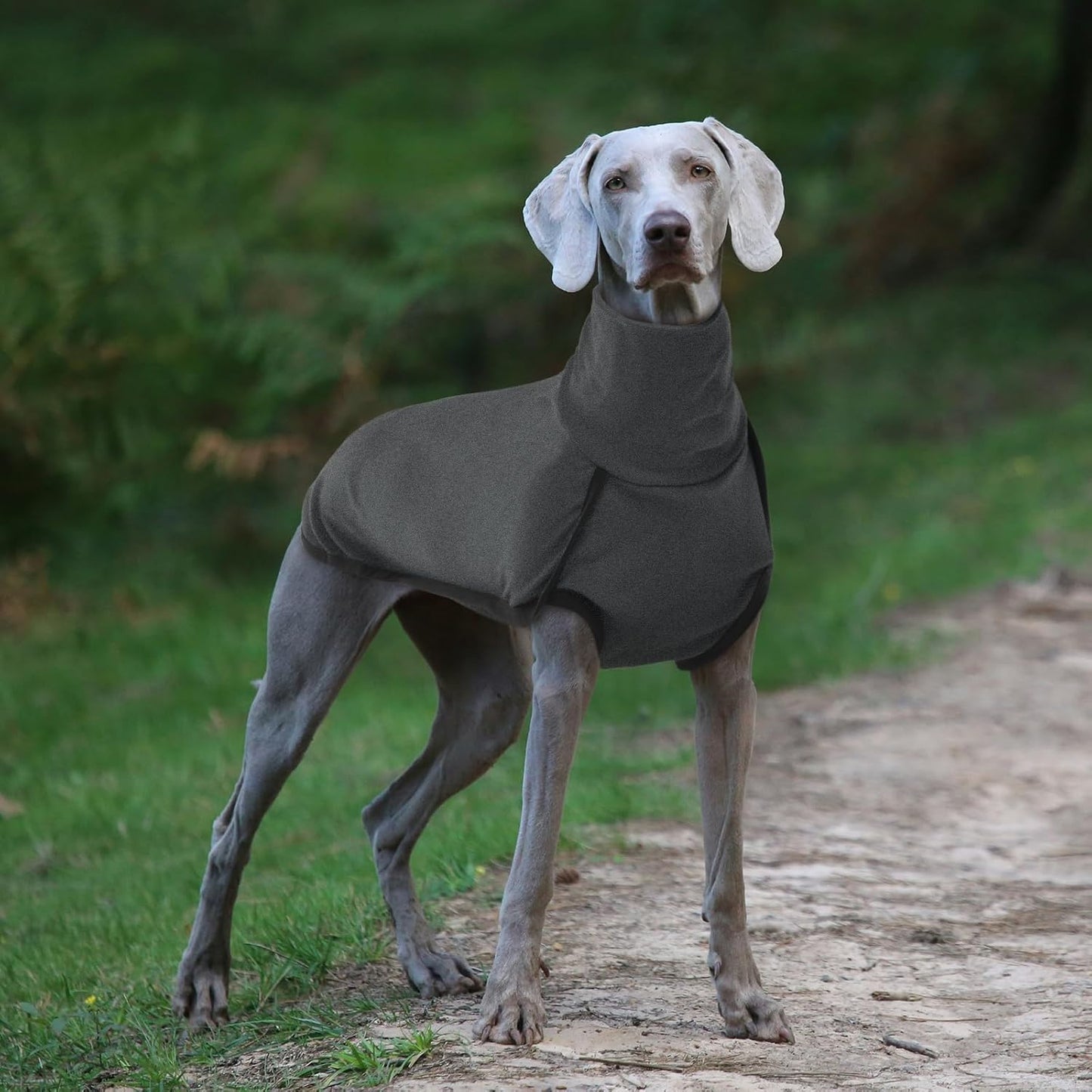 ROZKITCH Dog Winter Coat Soft Pullover Pajamas, Pet Windproof Warm Cold Weather Jacket Vest Cozy Jumpsuit Apparel Outfit Clothes for Walking Hiking Travel Sleep Black 2XL