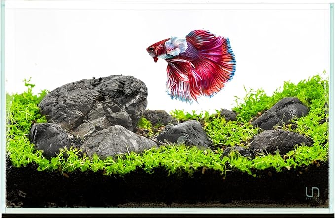 Ultum Nature Systems Ultra Clear Rimless Aquarium - Low Iron Glass Fish Tank with 45° Mitered Edges, 5mm-12mm Thick, Leveling Mat Included (3N, Nano, 3 Gallon)