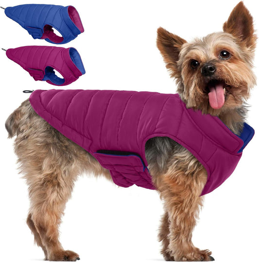 QBLEEV Reversible Dog Coat for Small Dogs, Waterproof Windproof Winter Jacket Keeps Small Breeds Warm & Dry, Lightweight Adjustable Puffer Vest with Leash Hole, Purple, XS – Fits Chihuahua, Yorkie
