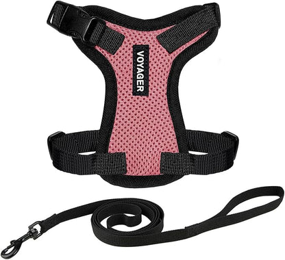 Voyager Step-in Lock Adjustable Cat Harness w. Cat Leash Combo Set with Neoprene Handle 5ft - Supports Small, Medium and Large Breed Cats by Best Pet Supplies - Pink/Black Trim, XXXS