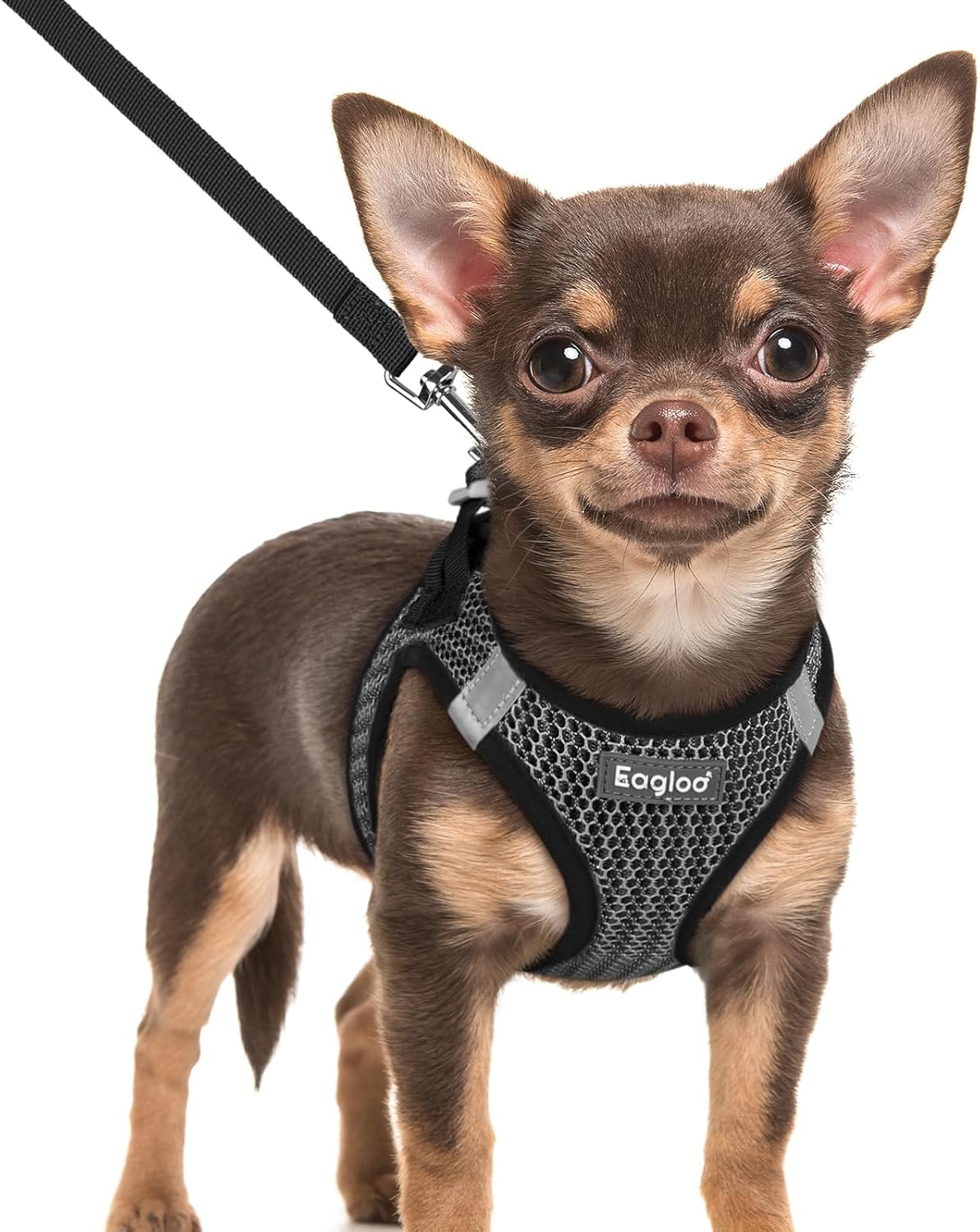 Eagloo Small Dog Harness and Leash Set, Step in Puppy Vest with Breathable Soft Mesh, Walking Reflective Pet Harness for Extra Small Dogs, Gray, XXS