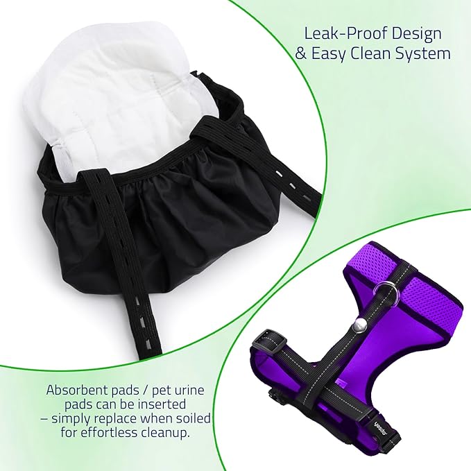 Adjustable Chicken Harness Diaper (5.4ft Leash) – Breathable & Washable Secure Training for Hens, Ducks & Chicks | Outdoor Walking & Discipline Solution