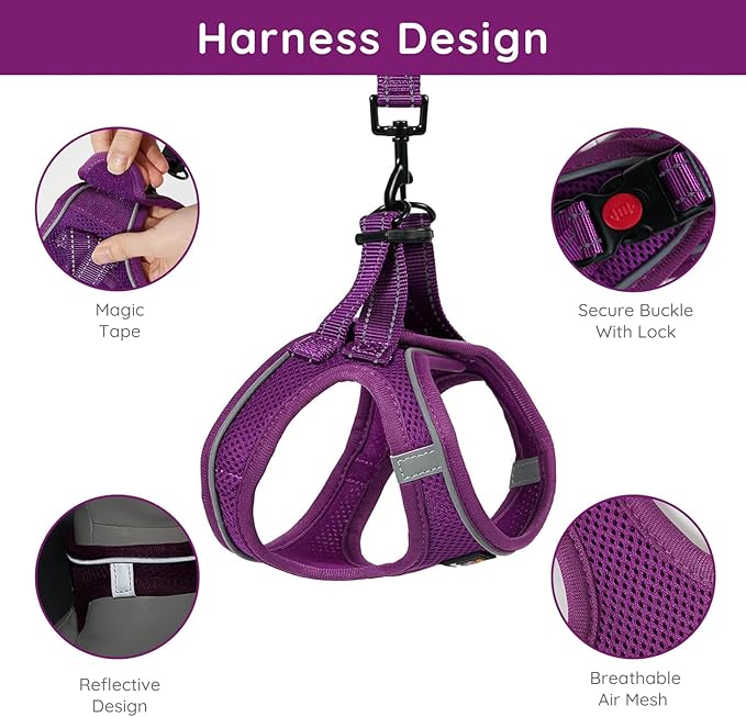 BELLA & PAL Step in Vest Harness for Small and Medium Dogs, No Pull Small Dog Harness with Leash Set, Comfortable Air Mesh Dog Vest Harness with Reflective Strip (Grape Purple, L)