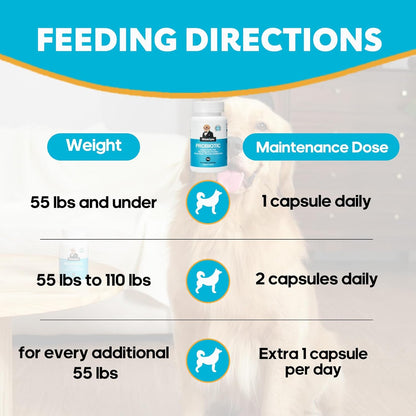 Probiotics for Dogs, Dog Probiotics with Digestive Enzymes with and Prebiotics for Support Gut & Digestion Health, Immune Support, Reduce Diarrhea, 120 Capsules