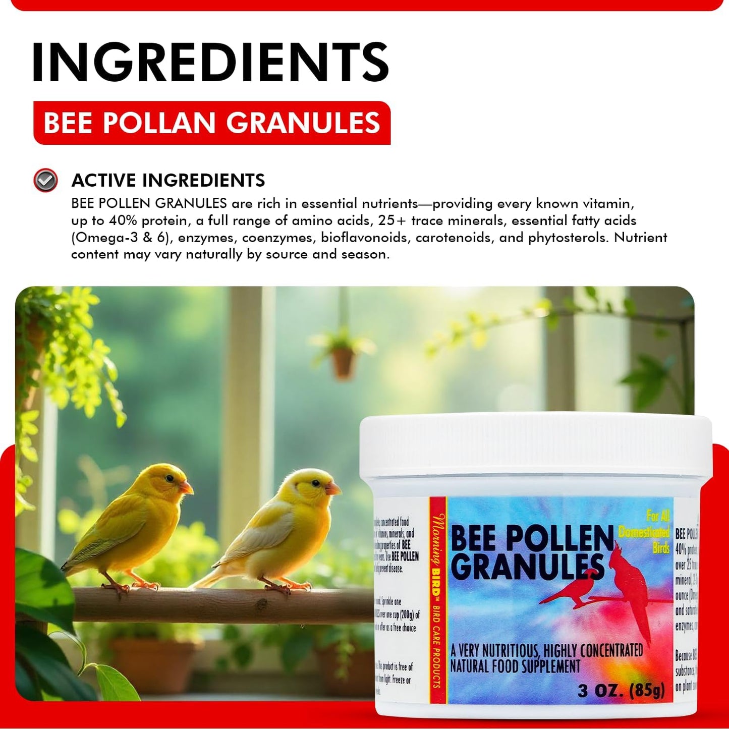 Morning Bird Bee Pollen Granules 3 Oz – Naturally Immune Support & Protein Powder for Birds – Boosts Strength, Feather Health & Energy Supplements – Easy to Mix with Food for All Bird Types