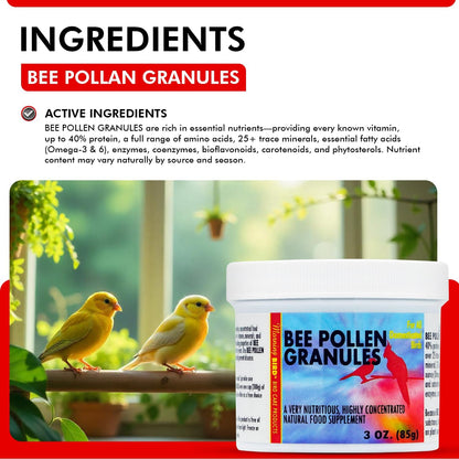 Morning Bird Bee Pollen Granules 3 Oz – Naturally Immune Support & Protein Powder for Birds – Boosts Strength, Feather Health & Energy Supplements – Easy to Mix with Food for All Bird Types
