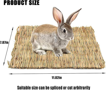 Hamiledyi 18 Pack Bunny Grass Woven Bed Mat Natural Straw Hay Mats Rabbit Handmade Bedding Sleeping Grinding Nesting and Chewing Toy for Guinea Pig Hamster Chinchilla Squirrel Hedgehog