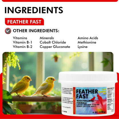 Morning Bird Feather Fast 6 Oz – Multi-Vitamin During Molt - Molting Support Supplement for Birds – Amino Acid & Vitamin Powder Formula– Promotes Feather Growth, and Full Plumage – for All Adult Birds