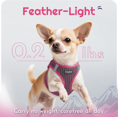 Eagloo Small Dog Harness and Leash Set, Step in Puppy Vest with Breathable Soft Mesh, Walking Reflective Pet Harness for Small Dogs, Rose Red, XS