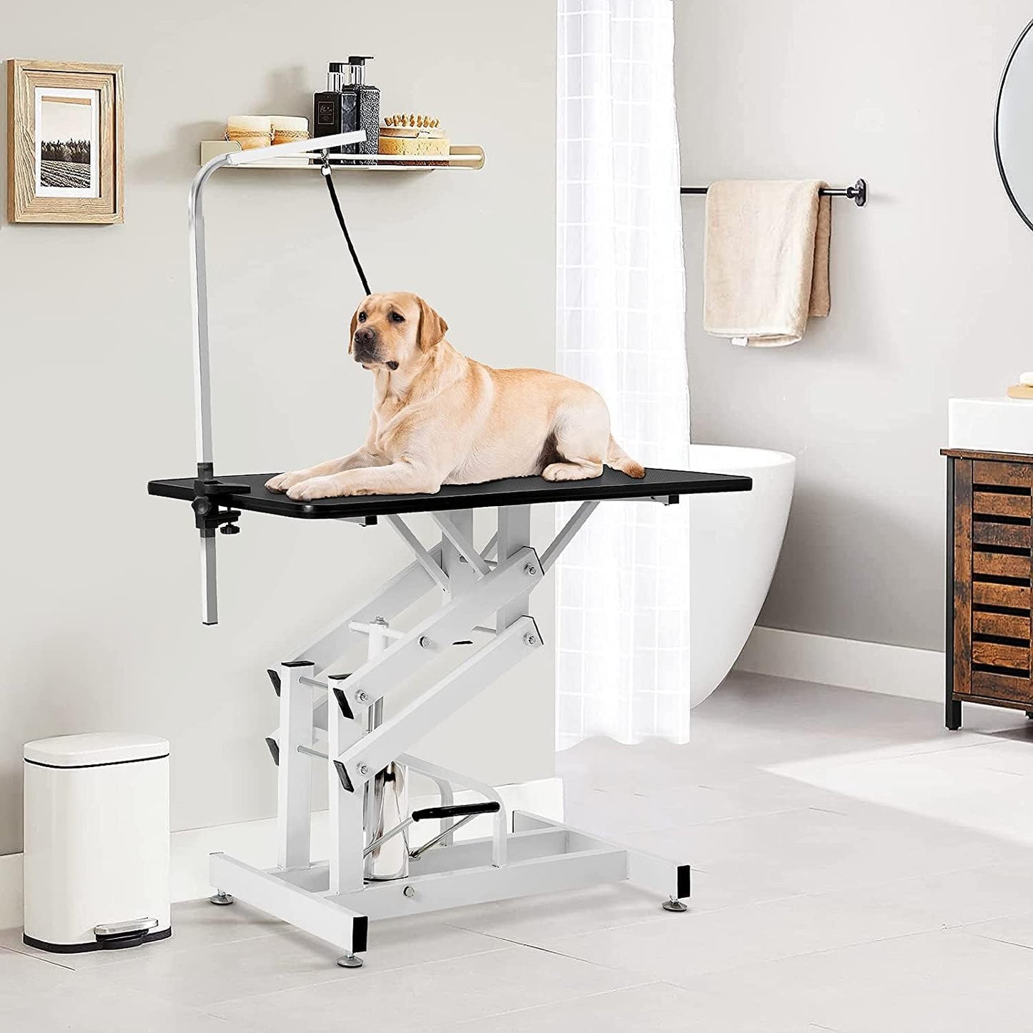 Hydraulic Dog Grooming Table, Heavy Duty Grooming Table for Small/Medium Dogs at Home, Pet Grooming Table with Adjustable Arm and Noose, Range 21-36 Inch, 43 Inch