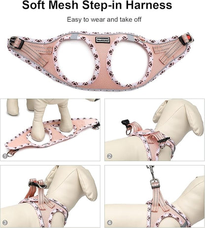 Mercano Soft Mesh Dog Harness and Leash Set, No-Chock Step-in Reflective Breathable Lightweight Easy Walk Vest Harnesses with Safety Buckle for Small Dogs, Cats (Champagne, L)