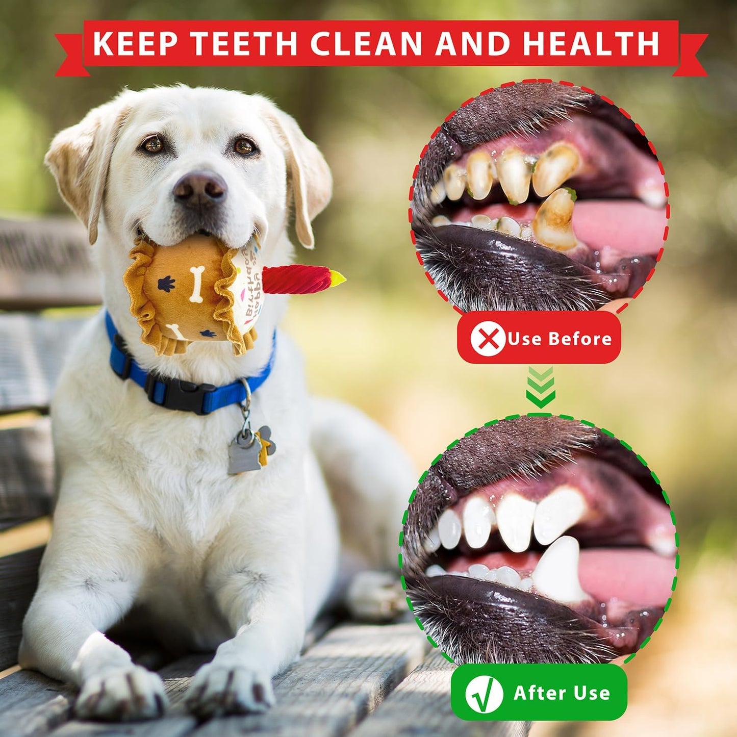 Birthday Squeaky crinkly Cake Aggressive chew for pups Sandwiches Pizza Party Dog Toy Colorful Playset to Keep Your Furry Friend Busy with 3 Pack Dog Toys for Birthday Gift Toys