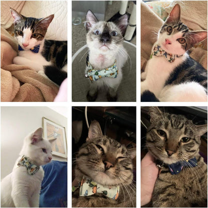 ADOGGYGO Cat Collar Breakaway with Cute Bow Tie Bell, 2 Pack Kitten Collar with Removable Bowtie, Universe Dinosaur Bowtie Collar for Kitten (6.5"- 8.5")