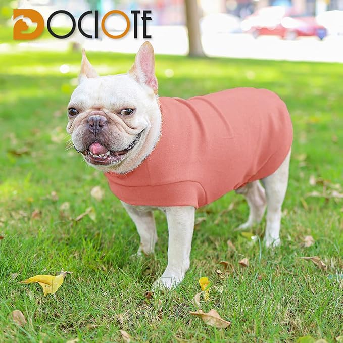 Small Dogs Fleece Dog Sweatshirt - Cold Weather Hoodies Spring Soft Vest Thickening Warm Cat Sweater Puppy Clothes Sweater Winter Sweatshirt Pet Pajamas for Small Dog Cat Puppy (Small, Red)