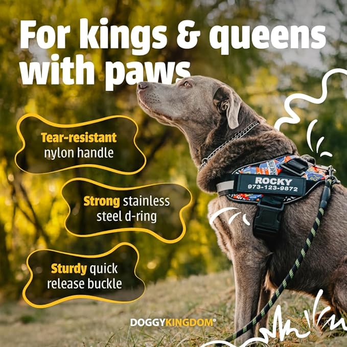 Personalized No-Pull Dog Harness with Name Patch, Adjustable, Reflective, Padded, Heavy Duty Pet Vest to Prevent Tugging, Pulling, or Choking, Training and Walking, Military Desert, 2XL