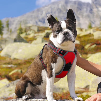 Eagloo Dog Harness Medium Sized Dog, No Pull Service Vest with Reflective Strips and Control Handle, Adjustable and Comfortable for Easy Walking, No Choke Pet Harness with 2 Metal Rings, Red, M