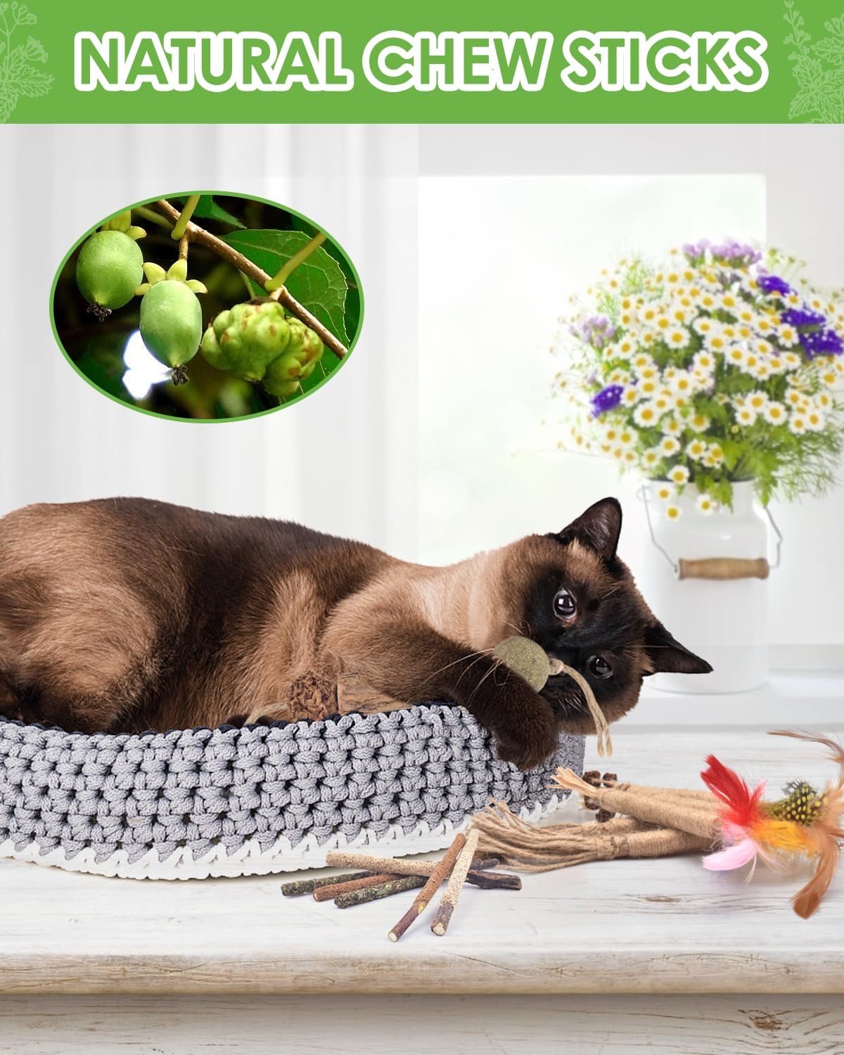 TINDTOP Silvervine Chew Sticks for Cats, 12 Pack Natural Catnip Chew Toys for Kittens Teeth Cleaning, Matatabi Dental Care, Increase Appetite, Calm Cat Anxiety and Stress, Cat Dental Toy